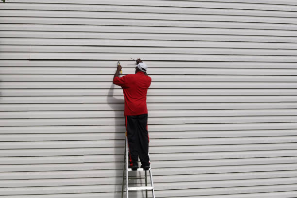 Affordable Siding Repair and Maintenance Services in Sierra Ridge, CO